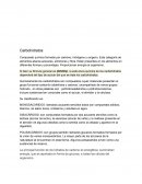 Carbohidratos. Lípidos