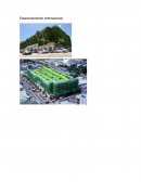 Estacionamiento internacional