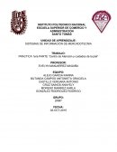 CENTRO DE ATENCIÓN Y CUIDADOS DE LA PIEL