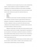 Relaciones del conocimiento