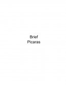 Brief picaras