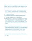 Caso practica plan de publicidad digital