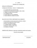 Matematica espontanes