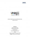 ANÁLISIS AMBIENTALDE UNA EMPRESANACIONAL
