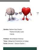 Tema: Inteligencia Emocional