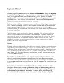 Las falacias lógicas