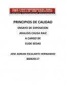 ENSAYO DE EXPOSICION - ANALISIS CAUSA RAIZ