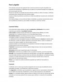 El surgimiento de la Ciencia Económica