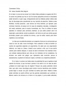 Que es un Comentario Crítico