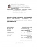 DISEÑO DE UN SISTEMA DE INFORMACION COMO HERRAMIENTA DEAPOYO PARALOSPROCESOS ADMINISTRATIVOS DEL CONSERVATORIO DEMUSICA DEL ESTADO FALCON, MUNICIPIO CARIRUBANA (SAPACMF).