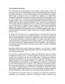 Orígenes de la sucesión.