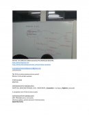 Arrendamiento inmobiliario MATRA. EN DERECHO UNAM GUADALUPE GRIMALDO BECERRIL