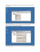 Práctica Servicios de Internet.