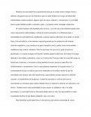 Elementos importantes de la actividad física