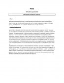 Movimento rectilinio uniforme