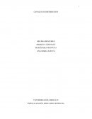 Trabajo de Campo Canales