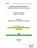 LA CARRERA DE TSU EN ENERGÍAS RENOVABLES Y/O MECATRÓNICA