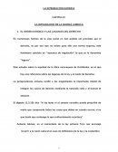 Tu mascota es muy fuerte EL ORDEN JURIDICO Y LAS LAGUNAS DEL DERECHO