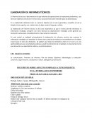 ELABORACIÓN DE INFORMES TÉCNICOS