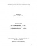 CUAL ES EL LABORATORIO # 2: PUNTO DE FUSIÓN Y PUNTO DE EBULLICIÓN