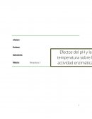 El objetivo del trabajo práctico es poner en evidencia el efecto que presenta el pH y la temperatura sobre la estabilidad y la actividad de la enzima Fosfatasa Ácida.