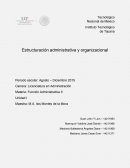Proyecto de estructuración administrativa y organizacional