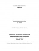 Ensayo de investigación formativa