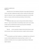 ELEMENTO IMPORTANCIA