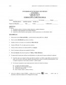 Utilizar el informe de tablas dinámicas y gráficos dinámicos en Exel