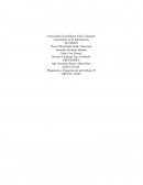 Planeación y Organización del trabajo TI