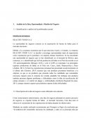 Nálisis de la Idea, Oportunidad y Modelo del Negocio de empresa HEALTHY FOOD S.A.C