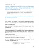 Ejemplos de citas largas y cortas