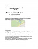 Ubicación del museo de historia natural