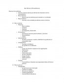 Ramas del seguro social