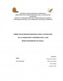 Lignina investigacionsota