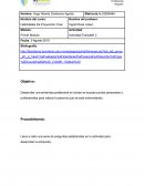 Habilidades De Proyección Final: Entrevista