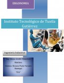 DISEÑO DE TABLEROS VISUALES (ERGONOMIA)