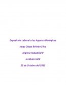 Analizar la exposición ocupacional a los agentes biológicos en áreas productivas