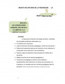 OBJETO DE ESTUDIO DE LA PEDAGOGÍA