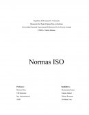 Normas ISO. ISO 14031