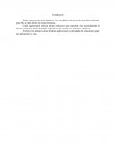 Estructura Organizacional