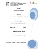 Actividad: Ensayo del plan de estudios y programas