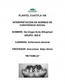 INTERPRETACION DE NORMAS DE CONVIVENCIA SOCIAL “MI FAMILIA”
