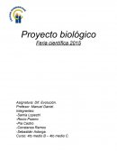 Extracción y visualización del ADN