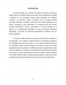 El Sistema Operativo Canaima.