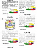 Apuntes Citacion