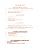 ECOSISTEMAS DE AREQUIPA.