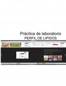 PRACTICA DE LAB-PERFIL DE LIPIDOS