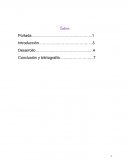 Español - Actividad integradora