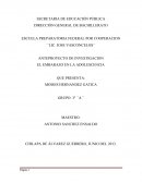 ANTEPROYECTO DE INVESTIGACION EL EMBARAZO EN LA ADOLESCENCIA